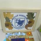 IMG_20171119_094140