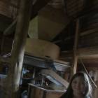 IMG_6492.JPG