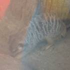 DSCN4812.JPG