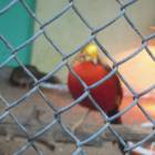 DSCN5012.JPG