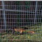 IMG_20160828_092554