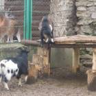 DSCN4951.JPG