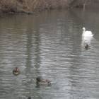 DSCN4920.JPG