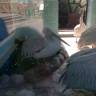 IMG_20160828_085645