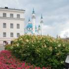 DSCN9619.JPG