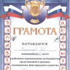 Портфолио достижений146985