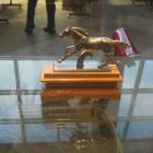 DSCN6836.JPG