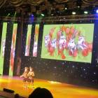 IMG_9600.JPG