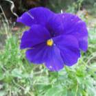 DSCN5054.JPG