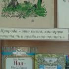 DSC08086.JPG