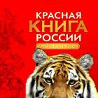 Сип белоголовый. Зооботанический сад. Казань.78388