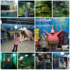 Мои мероприятия!!112700