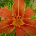 DSCN0638.JPG