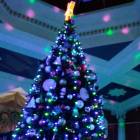 IMG_20171213_155647