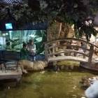 IMG_20171112_192341
