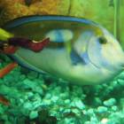 DSCN9943.JPG