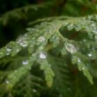 DSCN0310.JPG