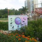 IMG_3749.JPG