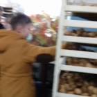 Альметьевский хлебозавод102379