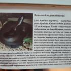 Выставка зоопарк "Живые тропики"60599
