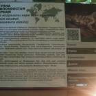 DSCN4866.JPG
