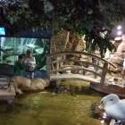 IMG_20171112_192339