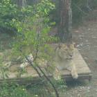 DSCN0222.JPG