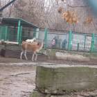 DSCN4937.JPG