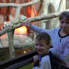 IMG_20171112_184843