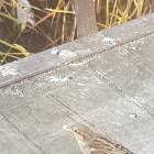 20191025_144317