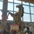 DSCN6838.JPG