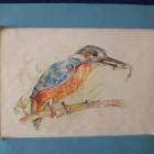 Выставка творческих работ "Мы все в ответе за нашу планету". Художественная школа.64354