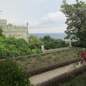 2013 042.JPG