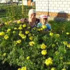 люблю лето82607