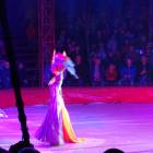 DSC07282.JPG