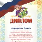 Шарафиева Замира 13