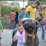 в московском зоопарке3742