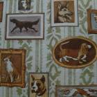 DSC01349.JPG