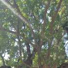20180815_1454530