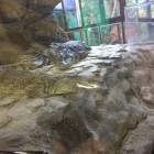 IMG_20171112_191434