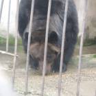 DSCN5006.JPG