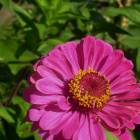 DSCN1512.JPG