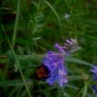 DSCN0360.JPG