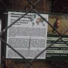 DSCN4974.JPG