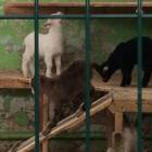 IMG-20180218-WA0102