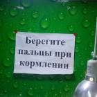 Попугаи в Сафари парке.