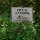 DSCN1588.JPG