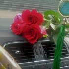 DSCN1738.JPG