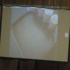 DSCN8013.JPG