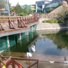IMG_20160828_085658